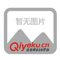 過(guò)濾器  Y型過(guò)濾器 不銹鋼過(guò)濾器 法蘭過(guò)濾器